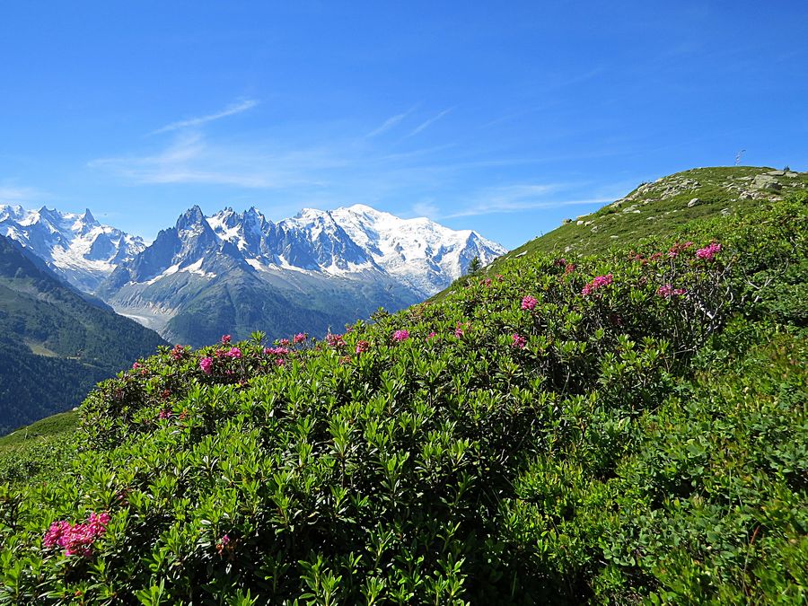 Mont Blanc