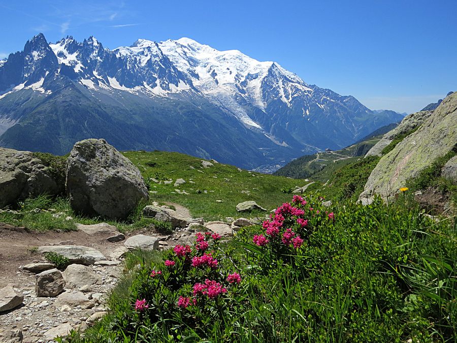 Mont Blanc