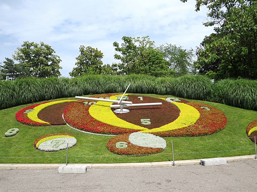 flower clock