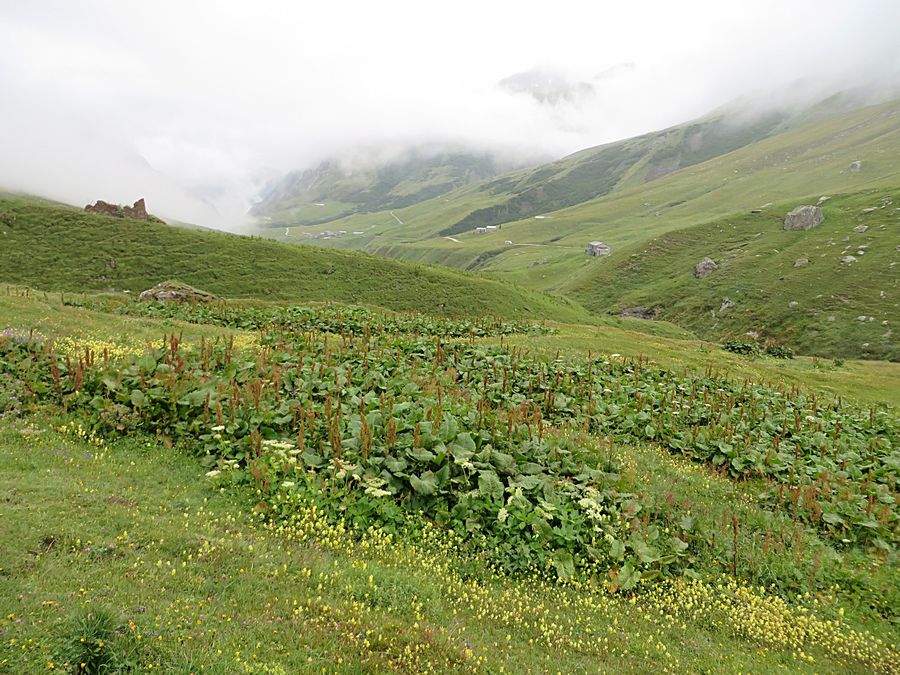 to Courmayeur