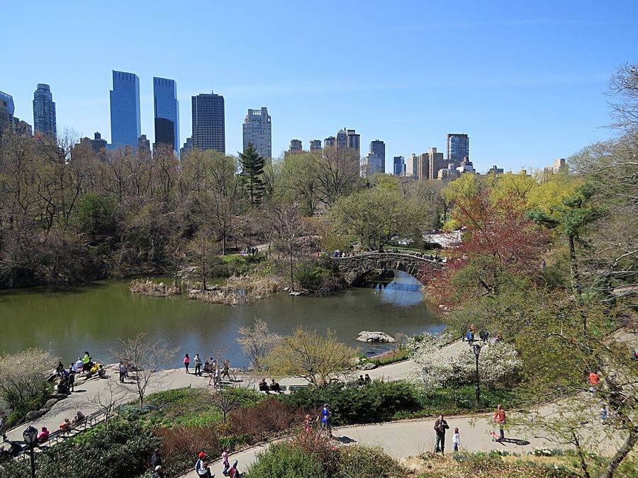 Central Park