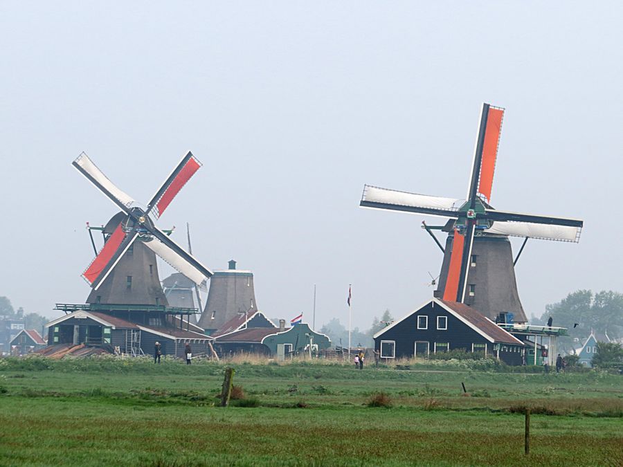 windmills