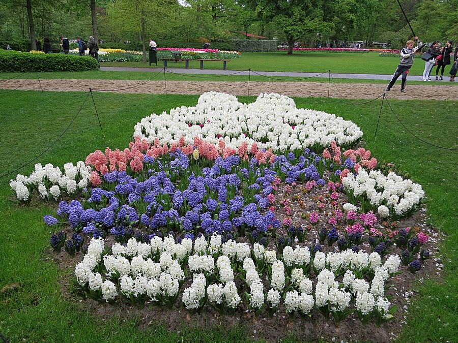 rabbit flowers