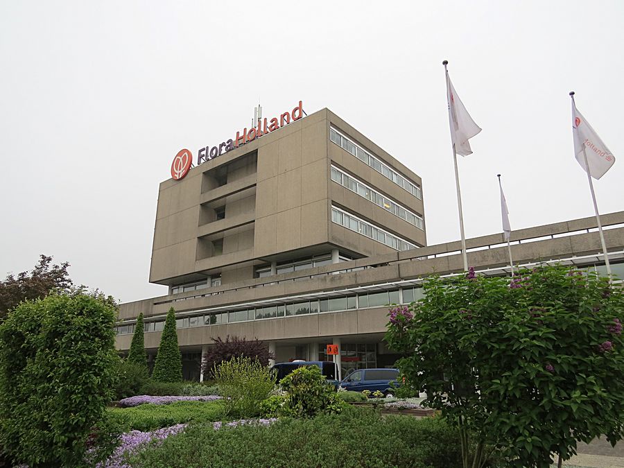 FloraHolland