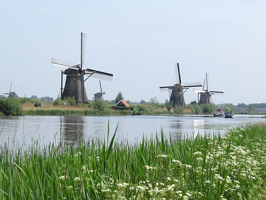 Kinderdijk