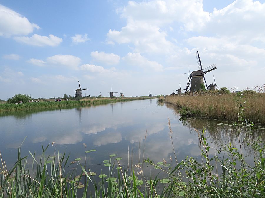 Kinderdijk