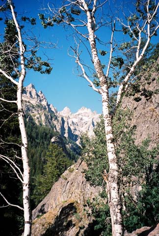 The Tetons 