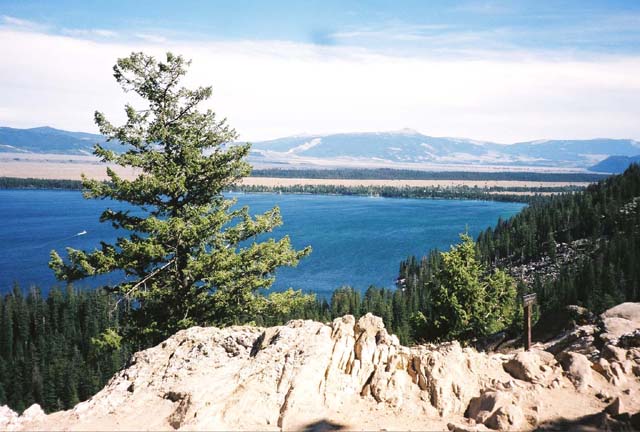 Jenny Lake