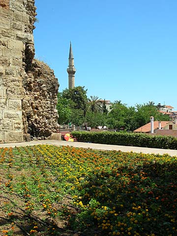 Antalya garden